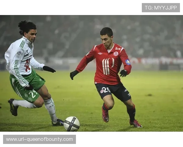 皮埃尔-莫鲁瓦球场：里尔主场堡垒的统计数据